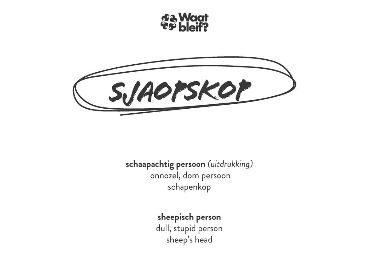 Sjaopskop –T-shirt - Afbeelding 2