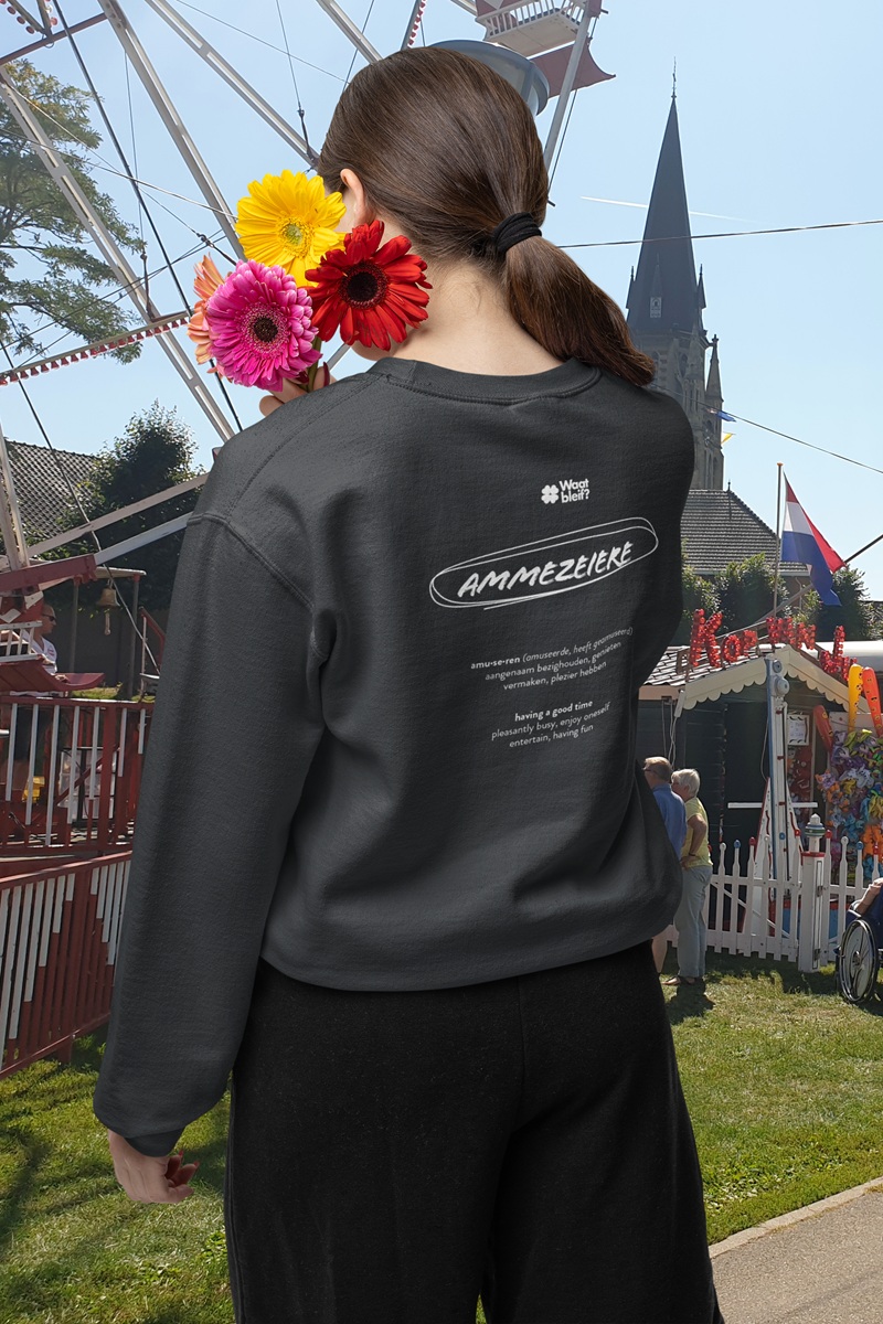 Ammezeiere –Sweater